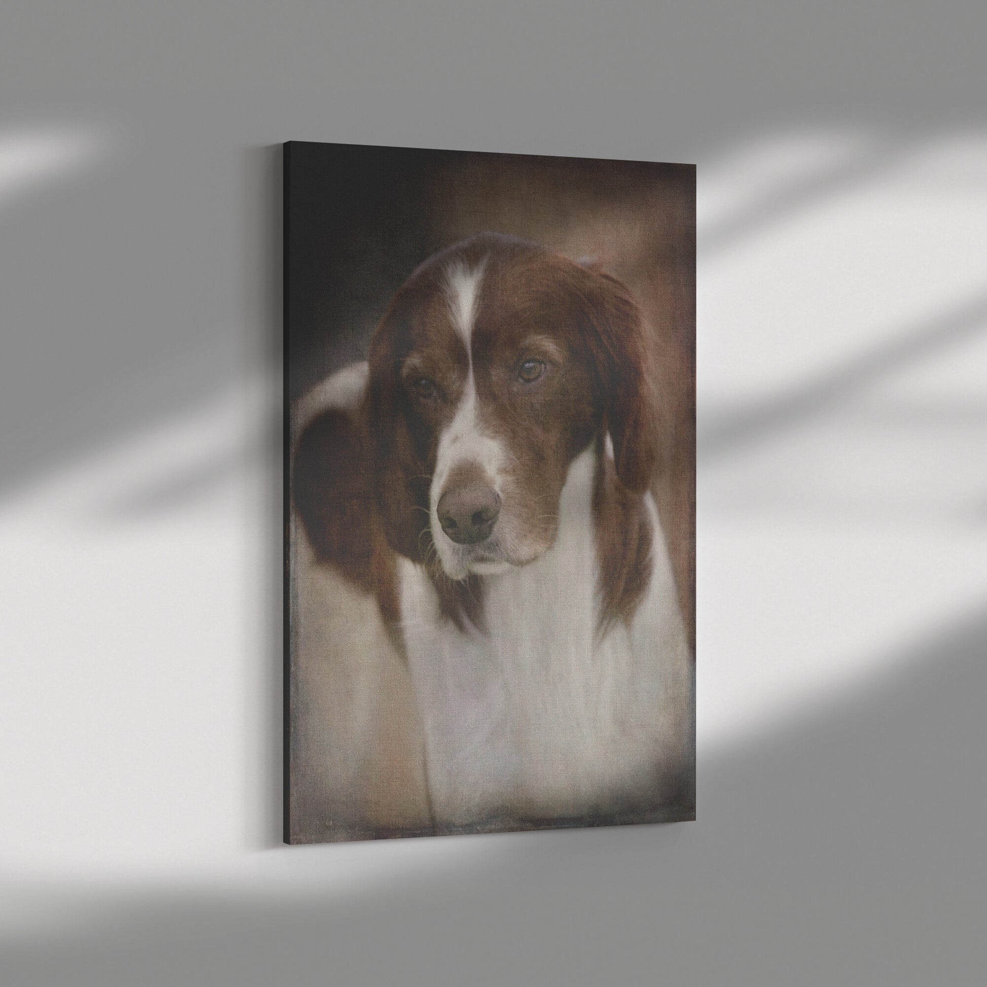 Buy Murphy II Gallery Canvas | Shop Red & White Setter Wall Art | Roscoe & Charlie