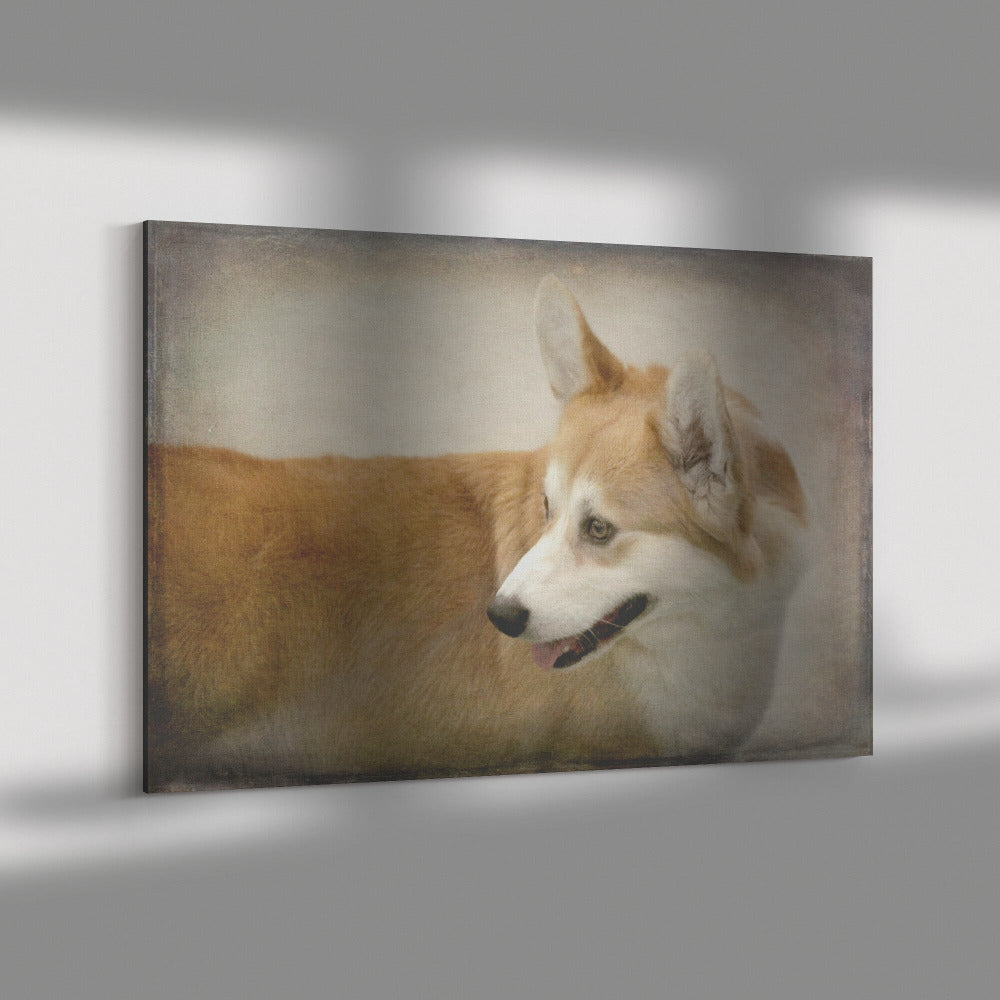 Buy Oliver IV Gallery Canvas | Shop for Corgi Wall Art | Roscoe & Charlie