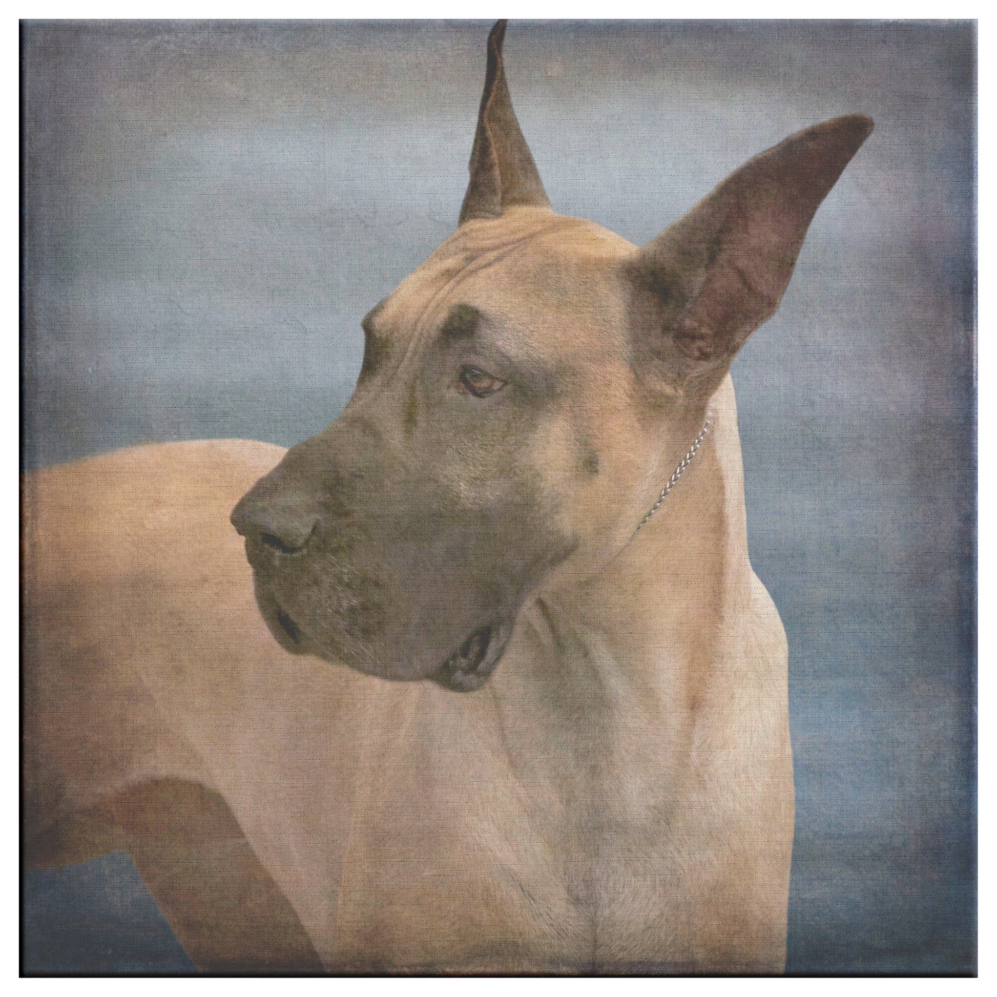 Buy Otis III Canvas Wall Art | Shop Great Dane Wall Art | Roscoe & Charlie