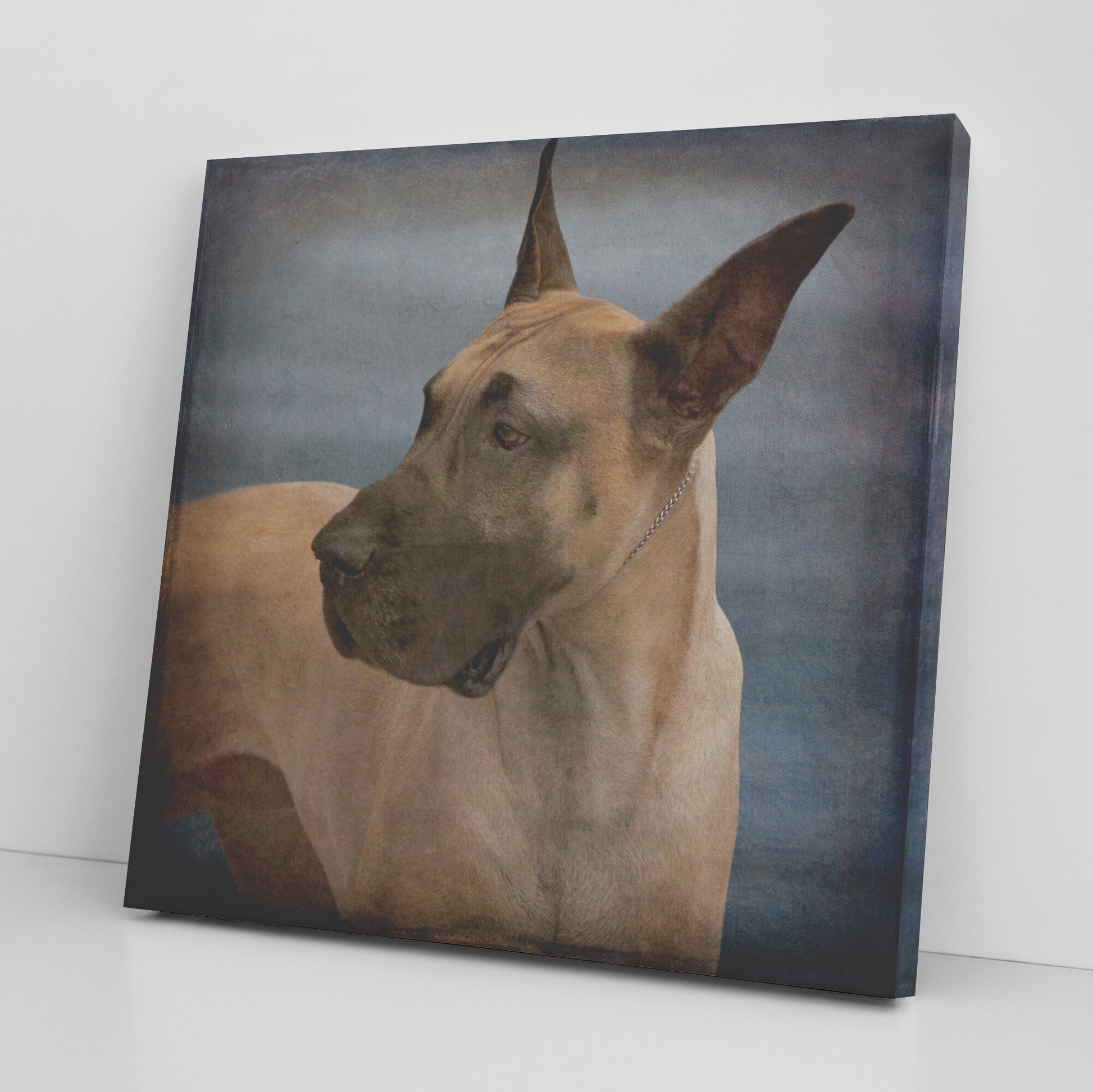 Buy Otis III Canvas Wall Art | Shop Great Dane Wall Art | Roscoe & Charlie