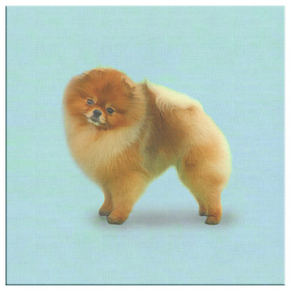 Buy Pebbles I Gallery Canvas | Shop for Pomeranian Wall Art | Roscoe & Charlie