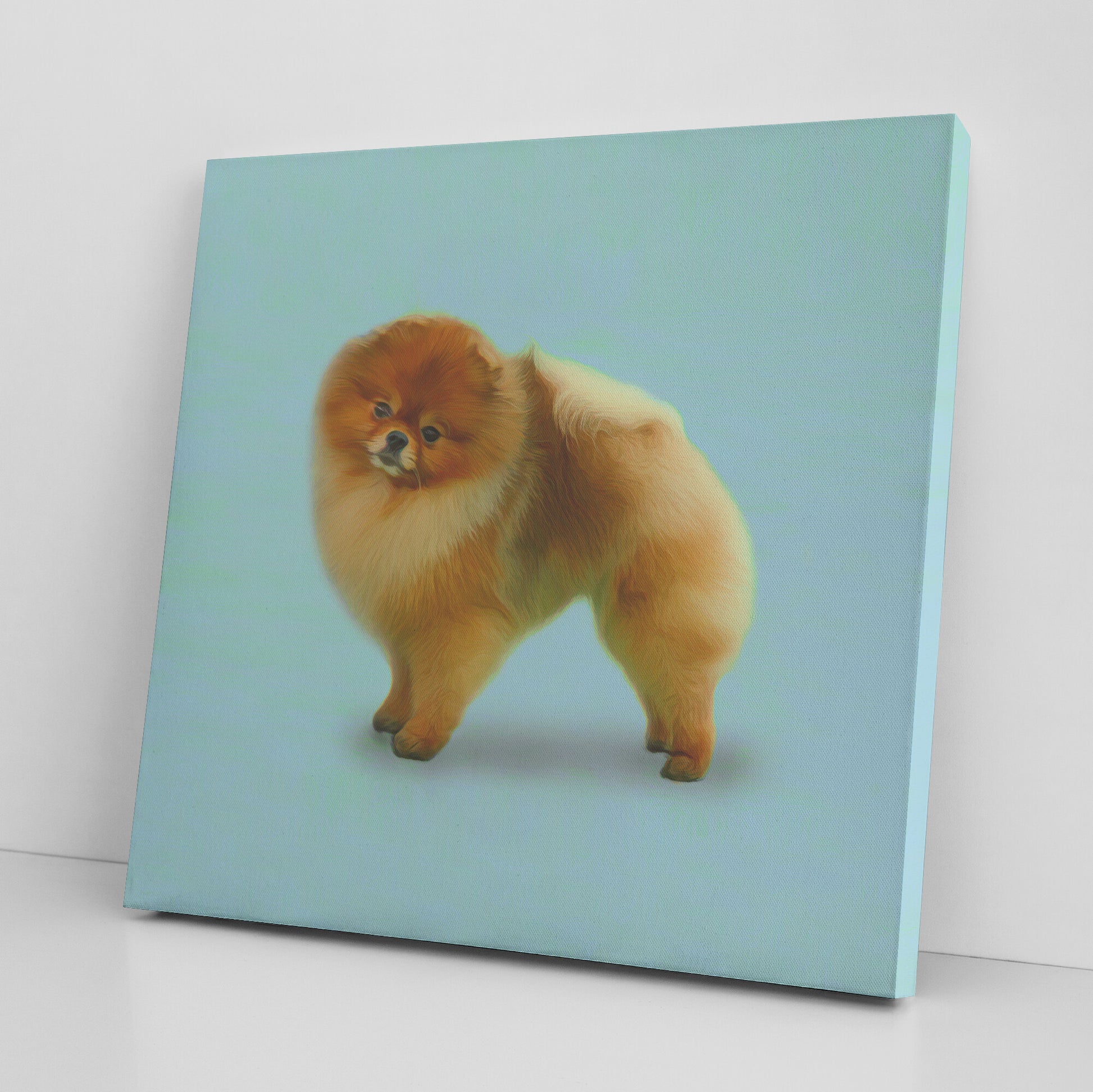 Buy Pebbles I Gallery Canvas | Shop for Pomeranian Wall Art | Roscoe & Charlie