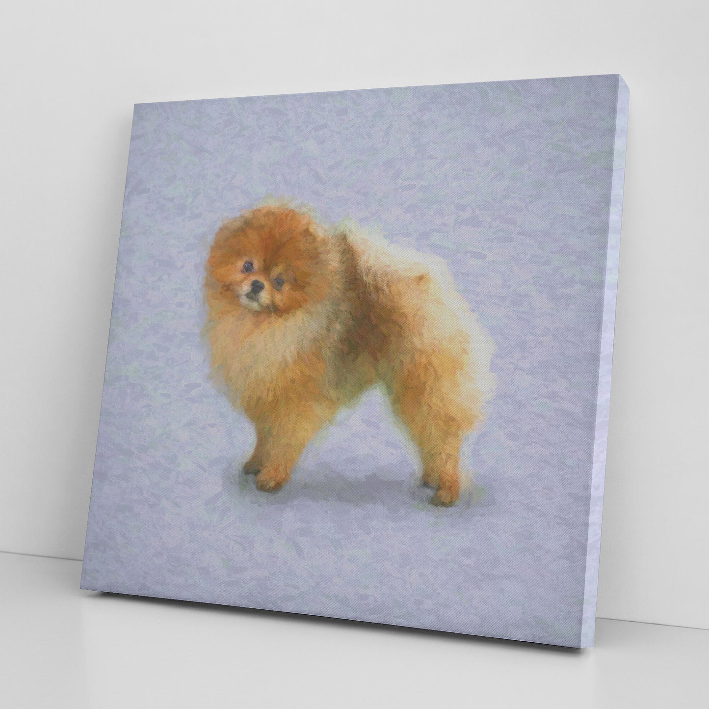 Buy Pebbles III Gallery Canvas | Shop Pomeranian Dog Art | Roscoe & Charlie