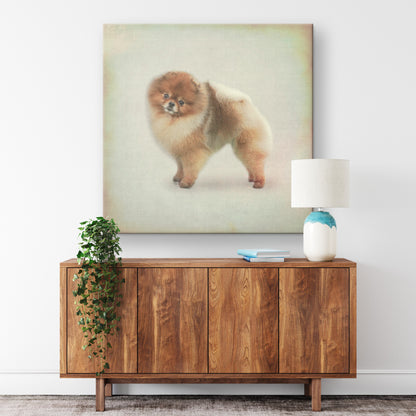 Buy Pebbles IV Gallery Canvas | Shop Pomeranian Wall Art | Roscoe & Charlie