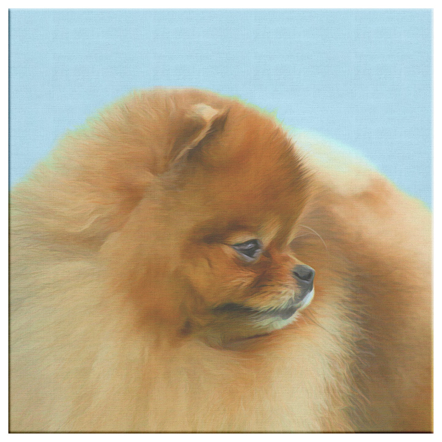 Buy Pebbles V Gallery Canvas | Shop for Pomeranian Wall Art | Roscoe & Charlie