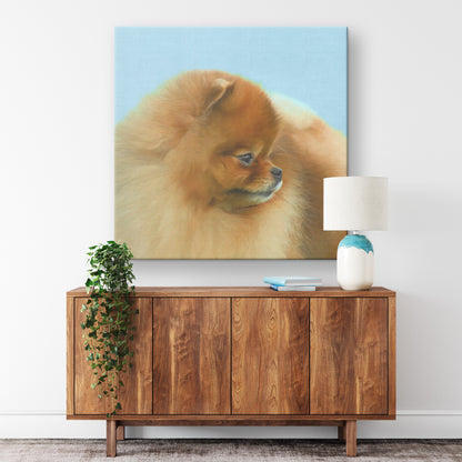 Buy Pebbles V Gallery Canvas | Shop for Pomeranian Wall Art | Roscoe & Charlie