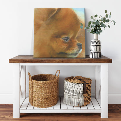 Buy Pebbles V Gallery Canvas | Shop for Pomeranian Wall Art | Roscoe & Charlie