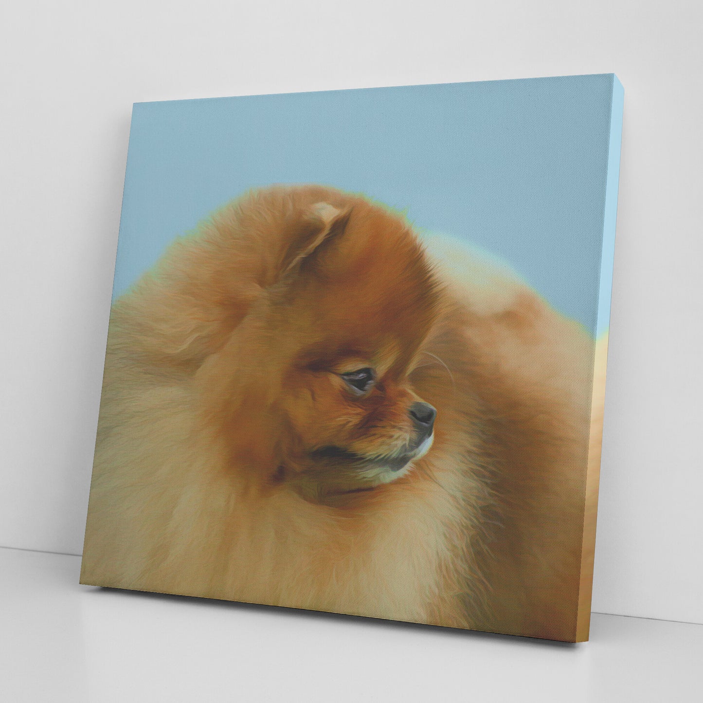 Buy Pebbles V Gallery Canvas | Shop for Pomeranian Wall Art | Roscoe & Charlie