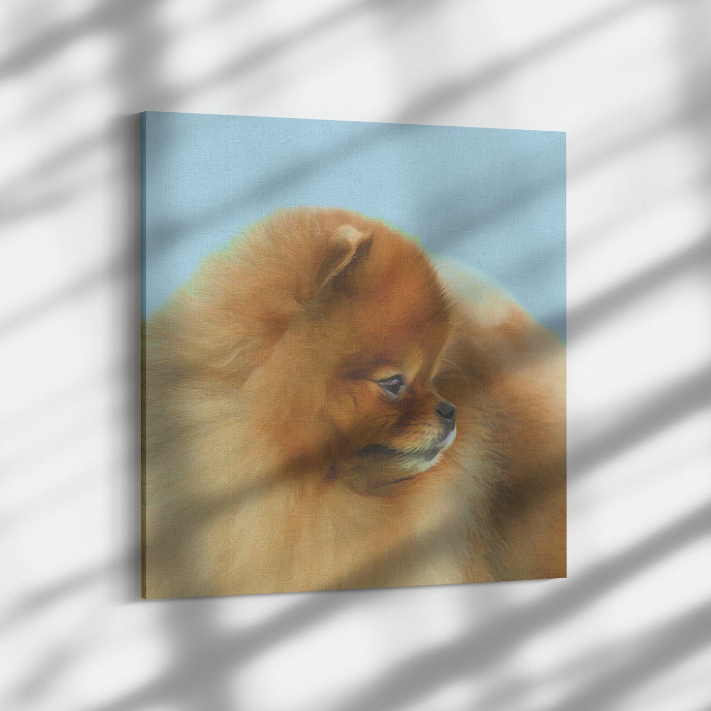 Buy Pebbles V Gallery Canvas | Shop for Pomeranian Wall Art | Roscoe & Charlie