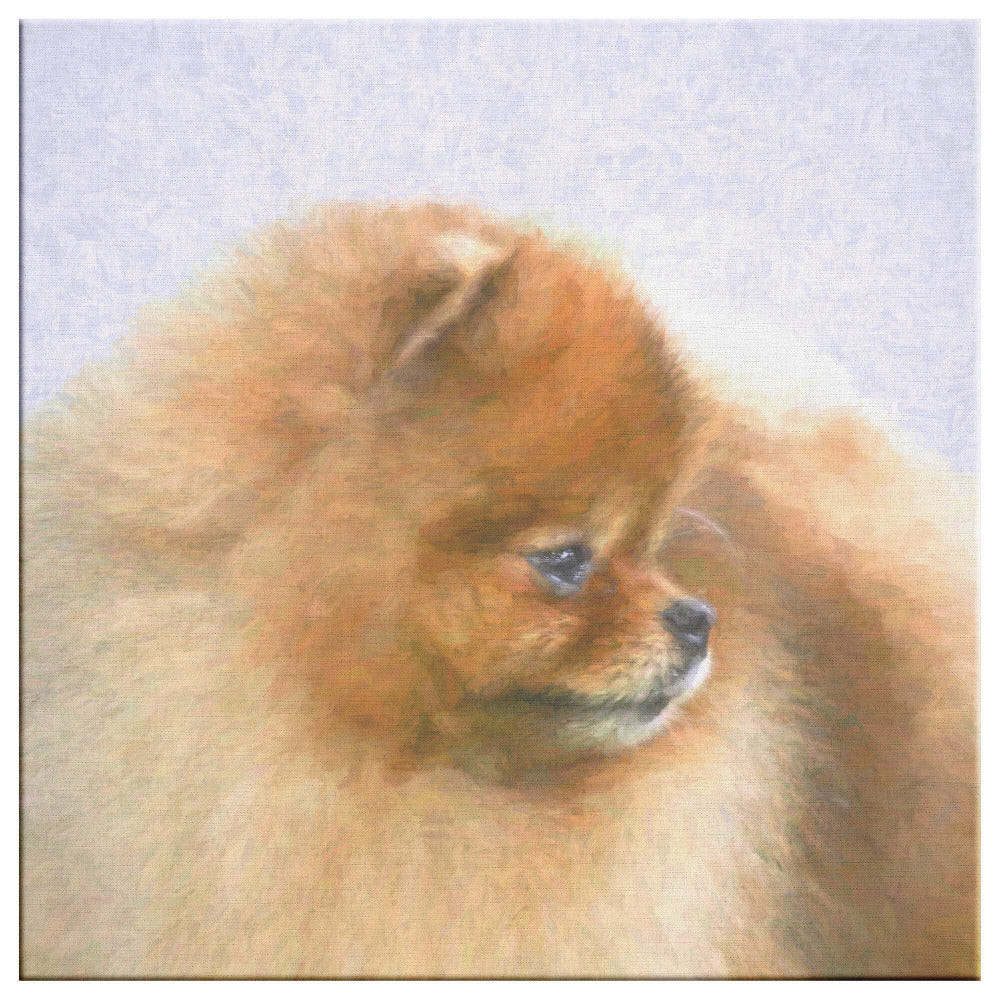 Buy Pebbles VI Gallery Canvas | Shop for Pomeranian Wall Art | Roscoe & Charlie