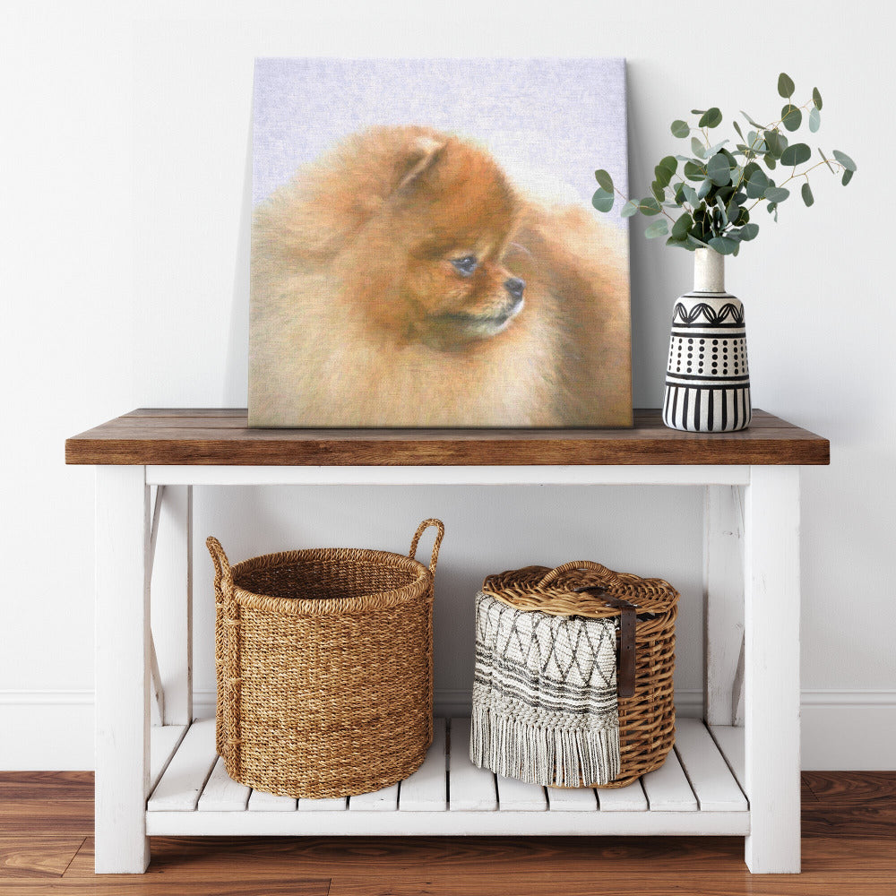 Buy Pebbles VI Gallery Canvas | Shop for Pomeranian Wall Art | Roscoe & Charlie