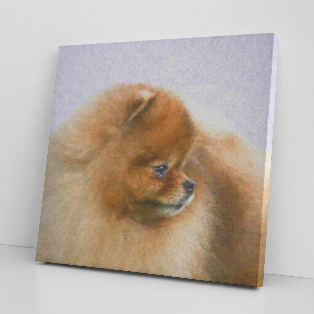 Buy Pebbles VI Gallery Canvas | Shop for Pomeranian Wall Art | Roscoe & Charlie