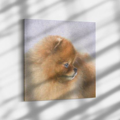 Buy Pebbles VI Gallery Canvas | Shop for Pomeranian Wall Art | Roscoe & Charlie