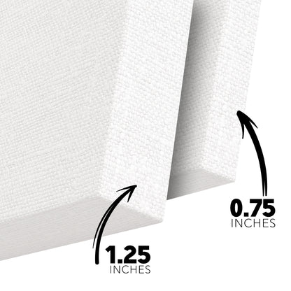 Polka IV Gallery Canvas