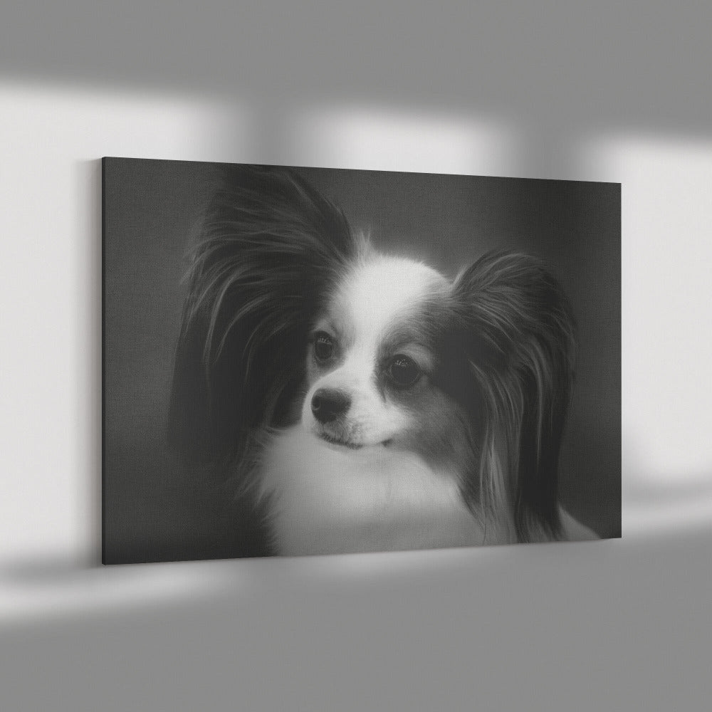 Buy Poppy II Gallery Canvas | Shop for Papillon Wall Art | Roscoe & Charlie