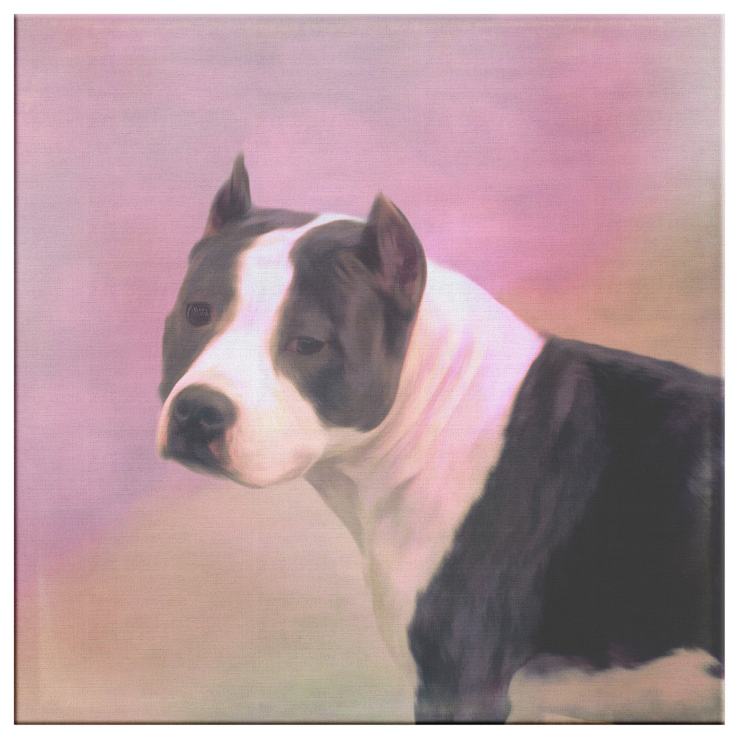 Buy Prince I Gallery Canvas | Shop for Pit Bull Wall Art | Roscoe & Charlie