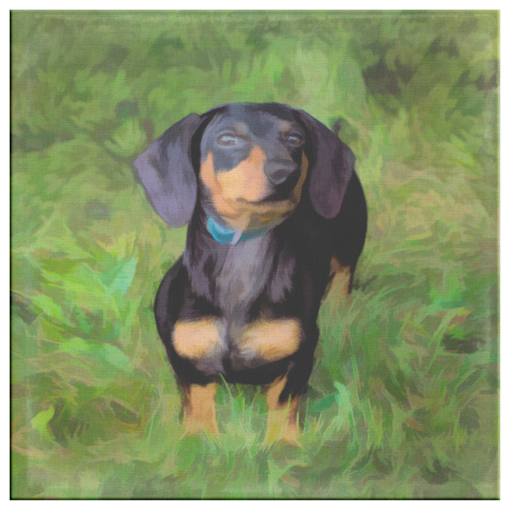 Buy Rex I Gallery Canvas | Shop for Dachshund Wall Art | Roscoe & Charlie