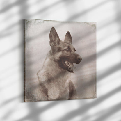 Buy Rocky VII Gallery Canvas | Shop German Shepherd Wall Art | Roscoe & Charlie