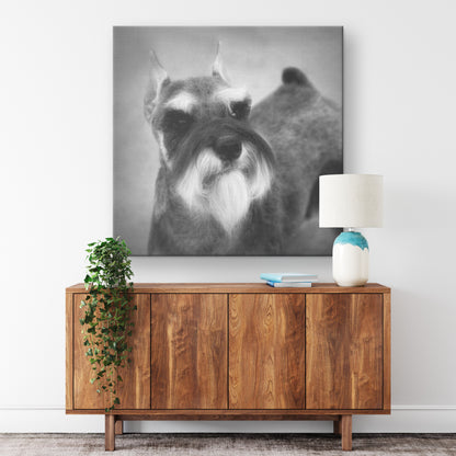 Buy Schroeder III Gallery Canvas | Shop for Miniature Schnauzer Wall Art | Roscoe & Charlie