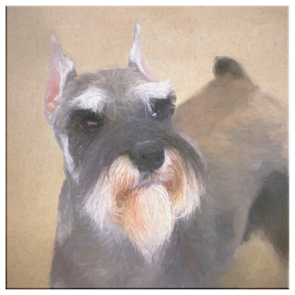 Buy Schroeder II Gallery Canvas | Shop for Miniature Schnauzer Wall Art | Roscoe & Charlie