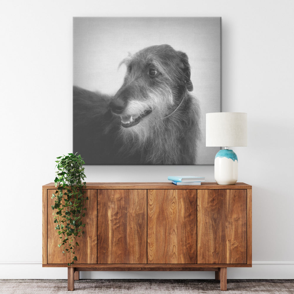 Buy Seamus I Gallery Canvas | Shop for Irish Wolfhound Wall Art | Roscoe & Charlie