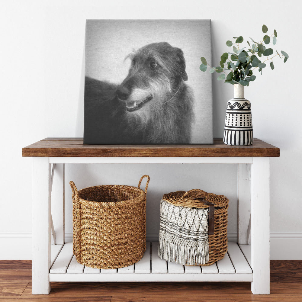 Buy Seamus I Gallery Canvas | Shop for Irish Wolfhound Wall Art | Roscoe & Charlie