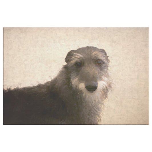 Buy Seamus II Gallery Canvas | Shop Irish Wolfhound Art | Roscoe & Charlie