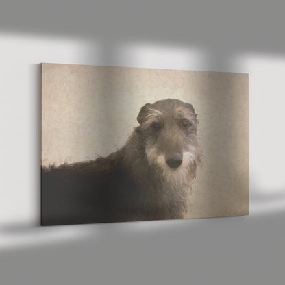 Buy Seamus II Gallery Canvas | Shop Irish Wolfhound Art | Roscoe & Charlie