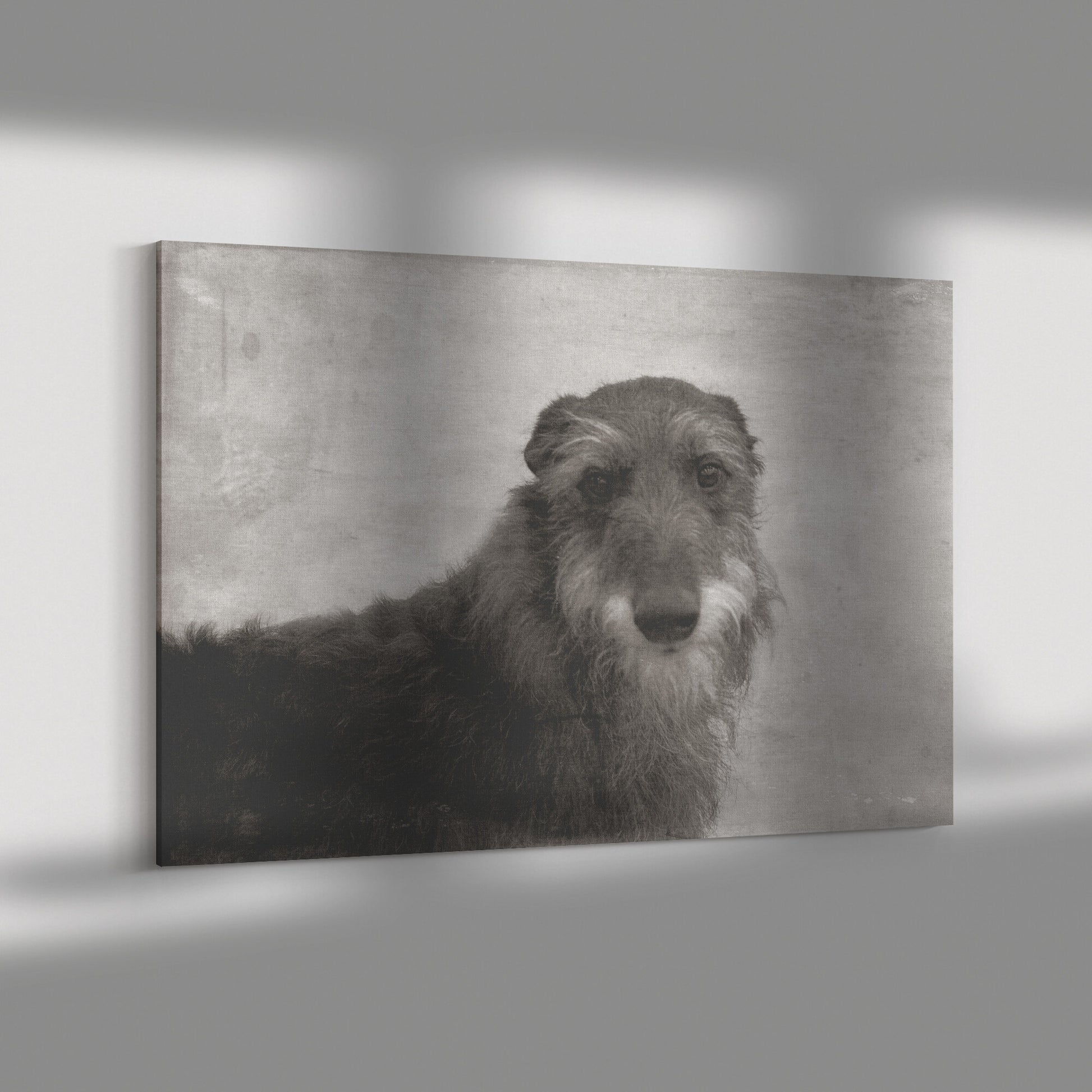 Buy Seamus VII Gallery Canvas | Shop for Irish Wolfhound Wall Art | Roscoe & Charlie