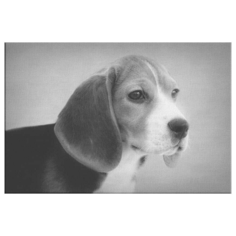 Buy Skipper VI Gallery Canvas | Shop for Beagle Wall Art | Roscoe & Charlie