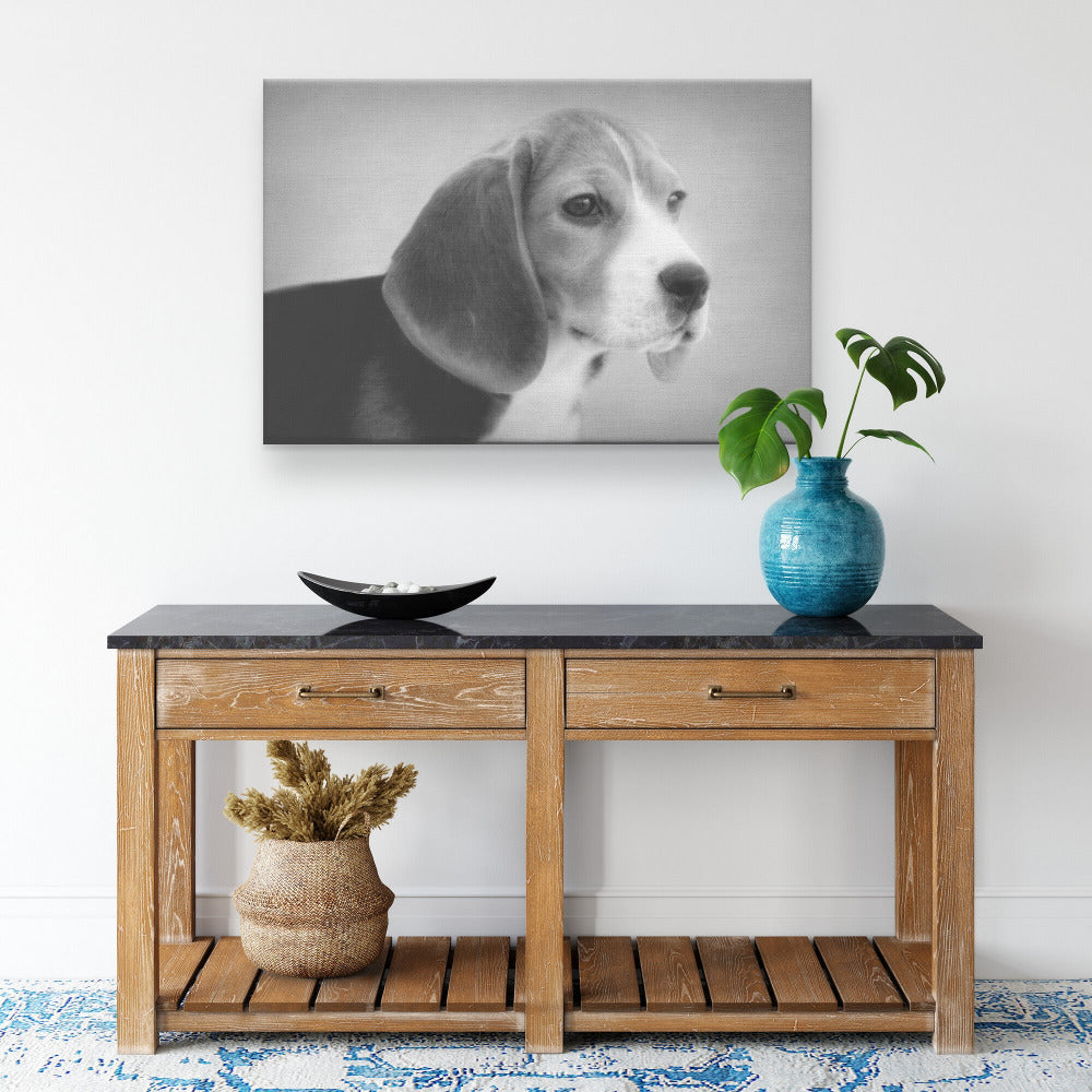 Buy Skipper VI Gallery Canvas | Shop for Beagle Wall Art | Roscoe & Charlie