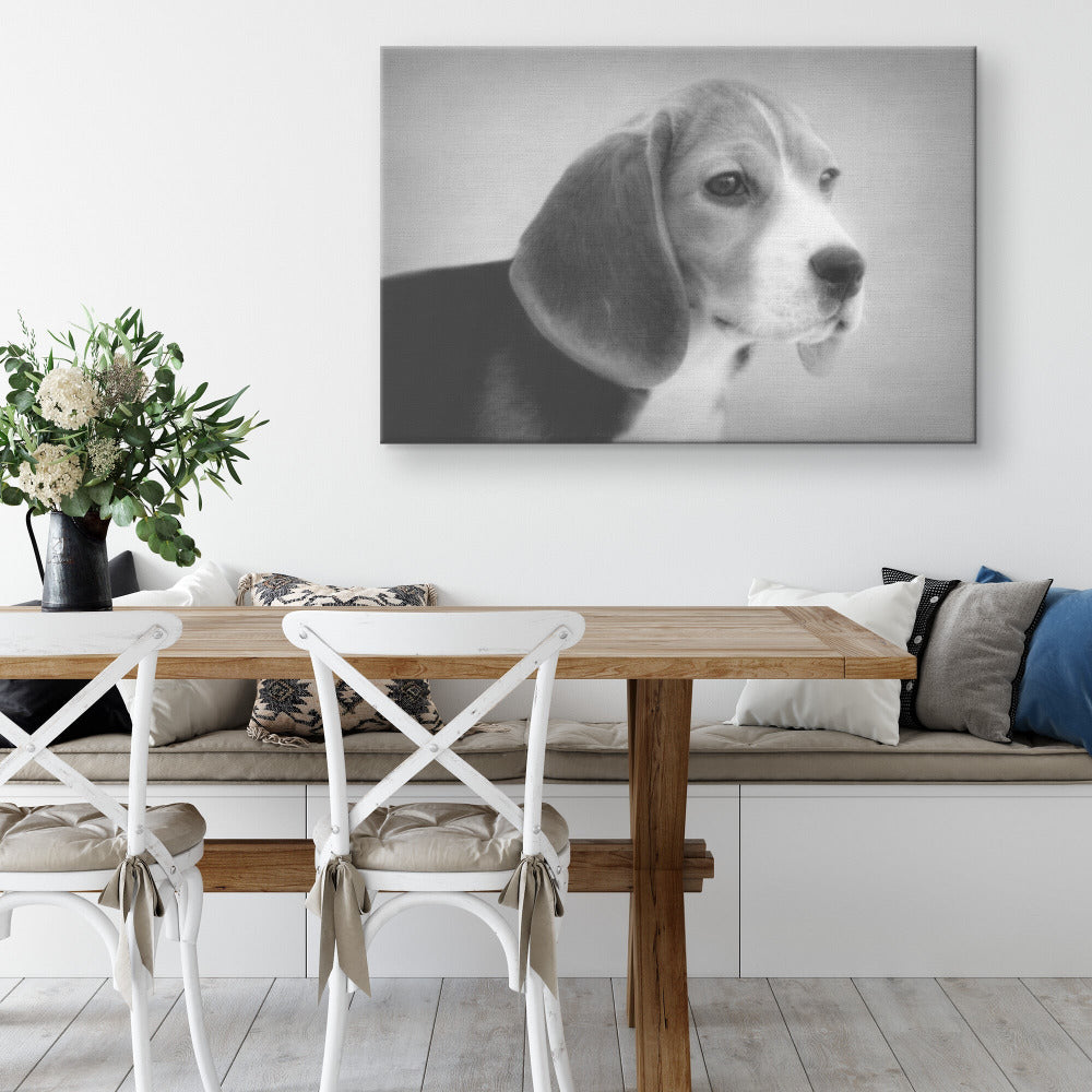 Buy Skipper VI Gallery Canvas | Shop for Beagle Wall Art | Roscoe & Charlie