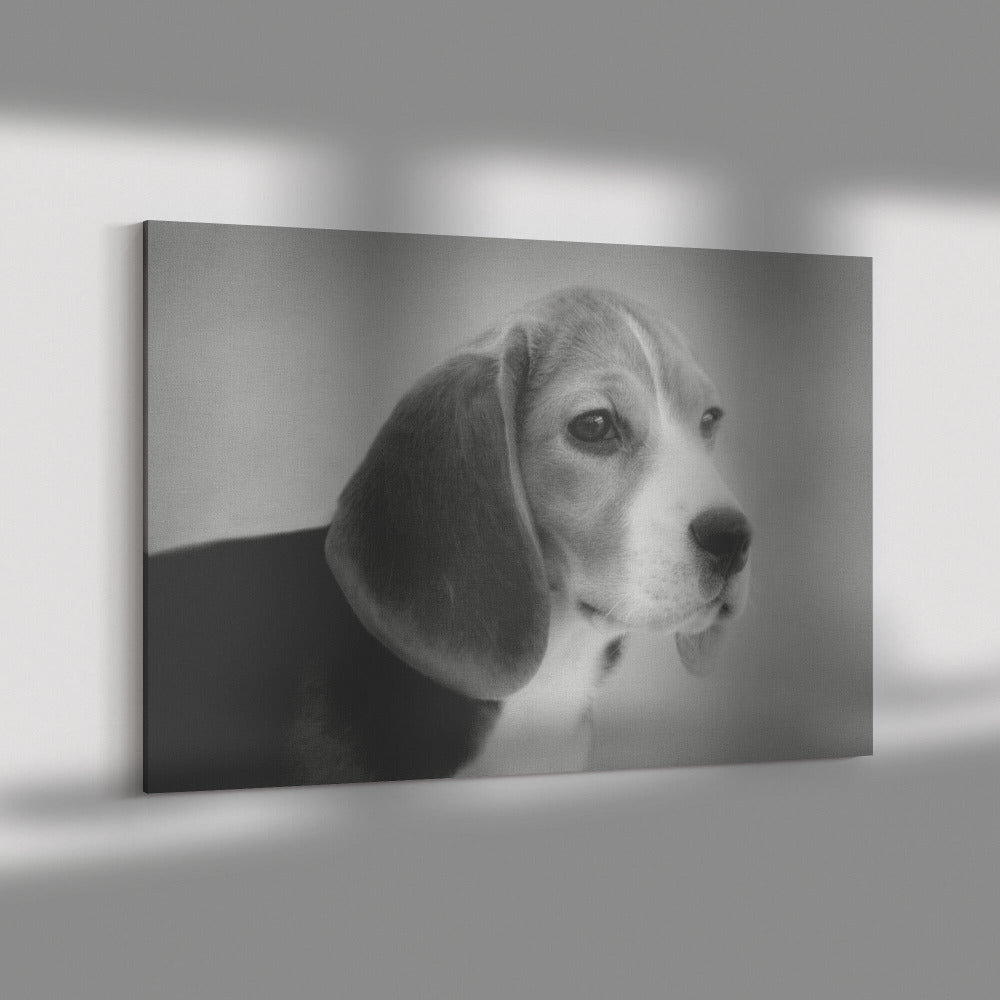 Buy Skipper VI Gallery Canvas | Shop for Beagle Wall Art | Roscoe & Charlie