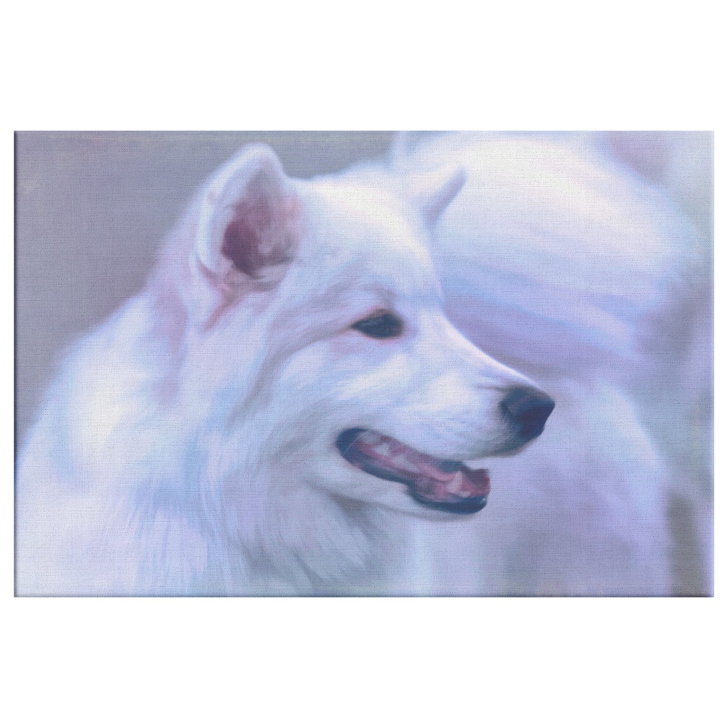 Buy Winter I Gallery Canvas | Shop Samoyed Wall Art | Roscoe & Charlie