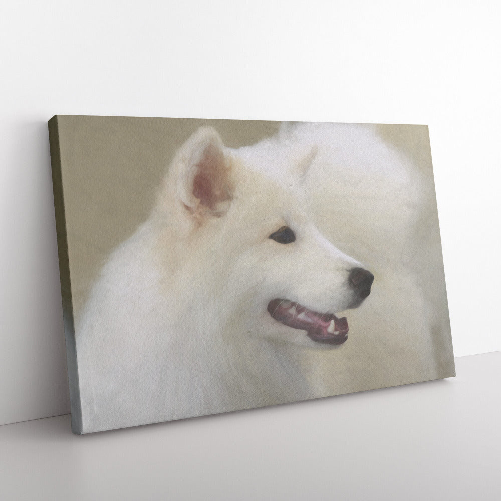 Buy Winter II Gallery Canvas | Shop for Samoyed Wall Art | Roscoe & Charlie