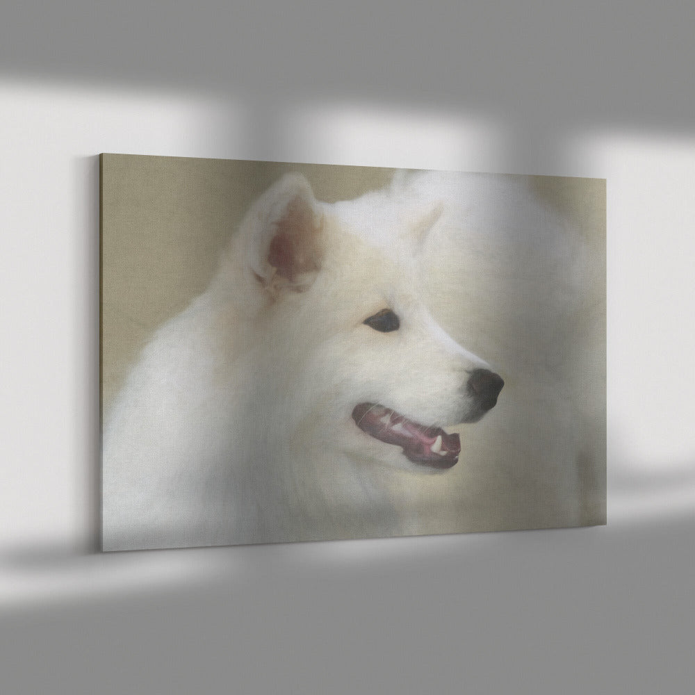 Buy Winter II Gallery Canvas | Shop for Samoyed Wall Art | Roscoe & Charlie