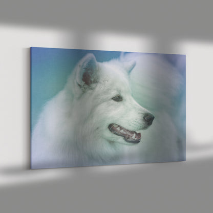 Buy Winter III Gallery Canvas | Shop Samoyed Wall Art | Roscoe & Charlie