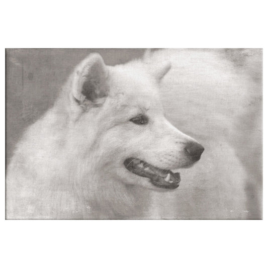 Buy Winter IV Gallery Canvas | Shop for Samoyed Wall Art | Roscoe & Charlie