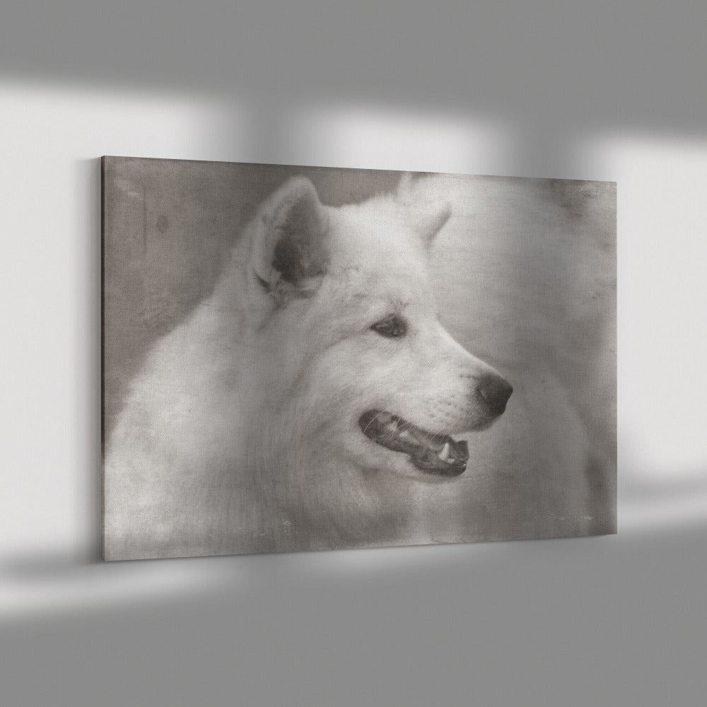 Buy Winter IV Gallery Canvas | Shop for Samoyed Wall Art | Roscoe & Charlie