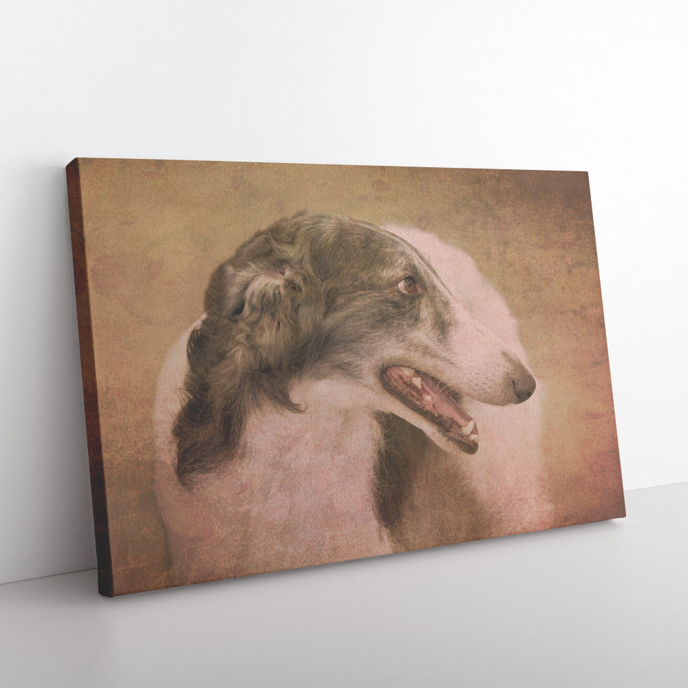 Buy Yuri II Gallery Canvas | Shop for Borzoi Wall Art | Roscoe & Charlie