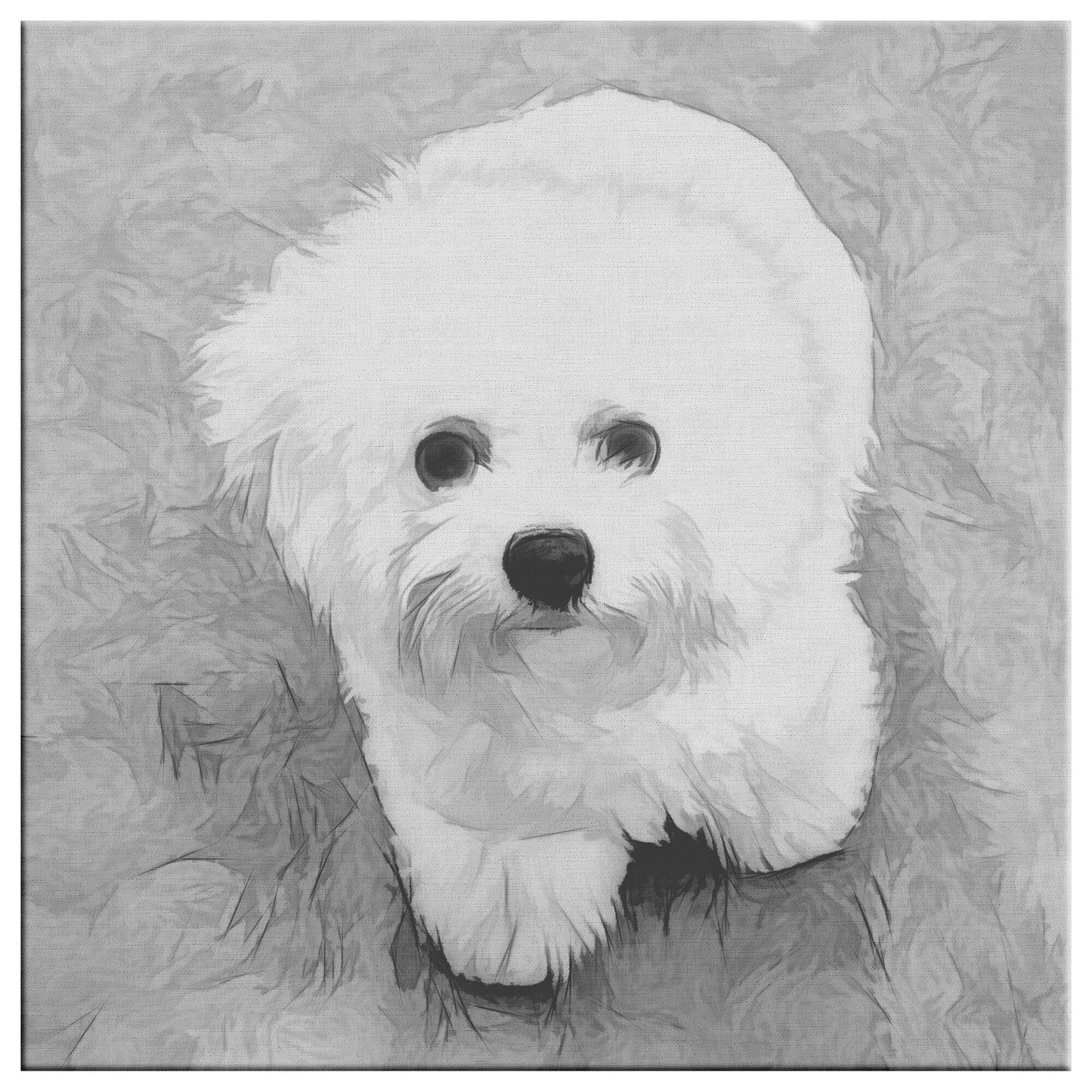 Buy Zoey I Gallery Canvas | Shop Bichon Frise Wall Art | Roscoe & Charlie