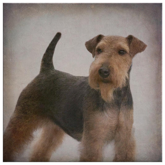 Buy Welsh Terrier Dog Wall Art online | Roscoe & Charlie