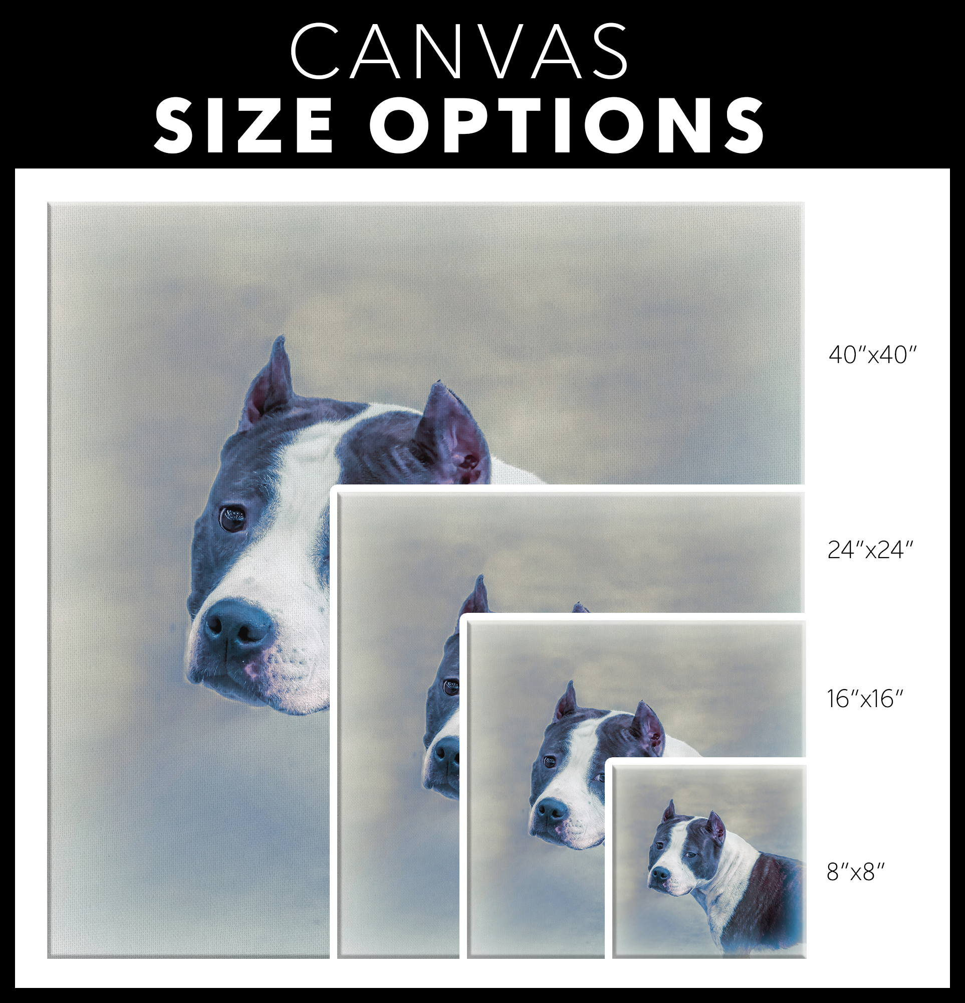 Staffordshire Terrier canvas prints available online | Roscoe & Charlie