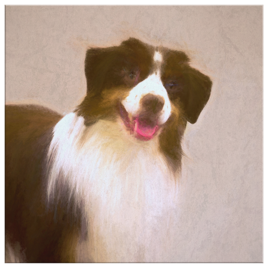 Buy canvas art with Australian Shepherd prints online | Roscoe & Charlie