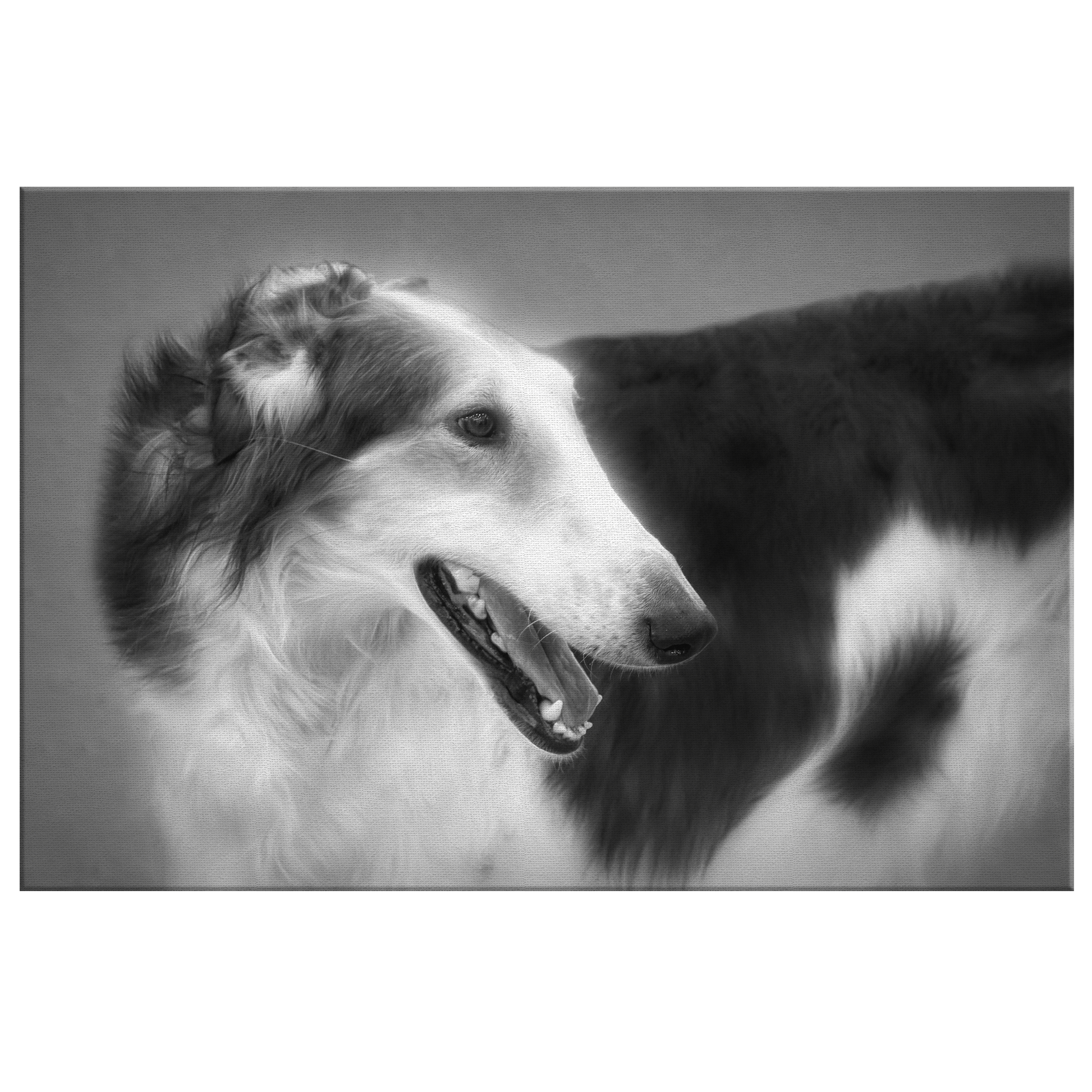 Buy canvas wall art with Borzoi art online | Roscoe & Charlie