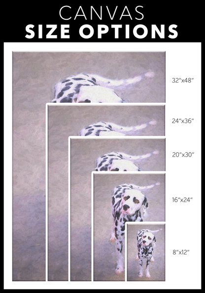 Dalmatian Dog Wall Art available online | Roscoe & Charlie