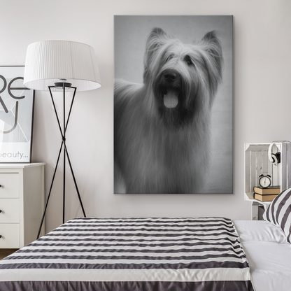 shop for canvas wall art with Briard prints online | Roscoe & Charlie