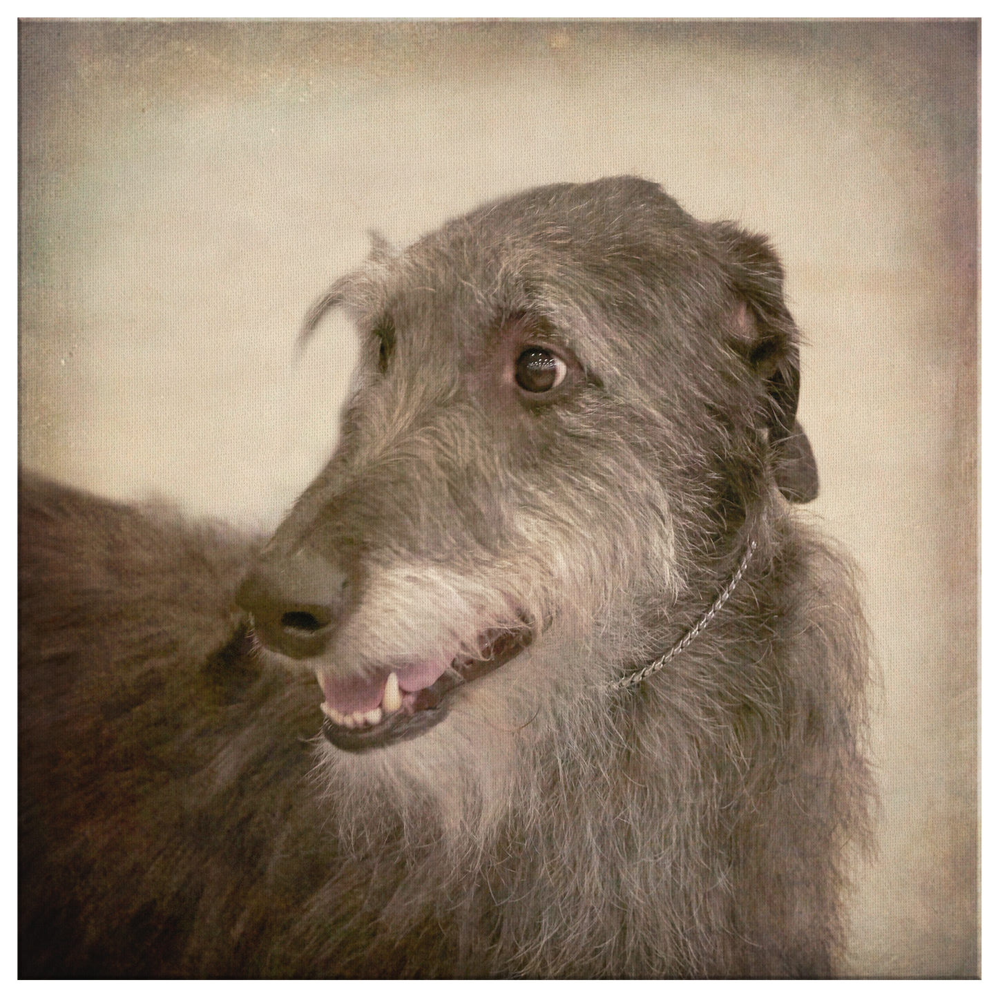 Buy canvas art with Irish Wolfhound prints online | Roscoe & Charlie