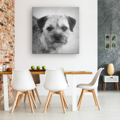 shop for canvas wall art with Border Terrier prints online | Roscoe & Charlie