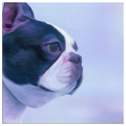 Buy canvas wall art with Boston Terrier Prints online | Roscoe & Charlie